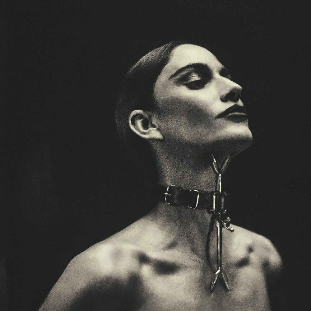 V [CD] (ONLINE ORDER ONLY)