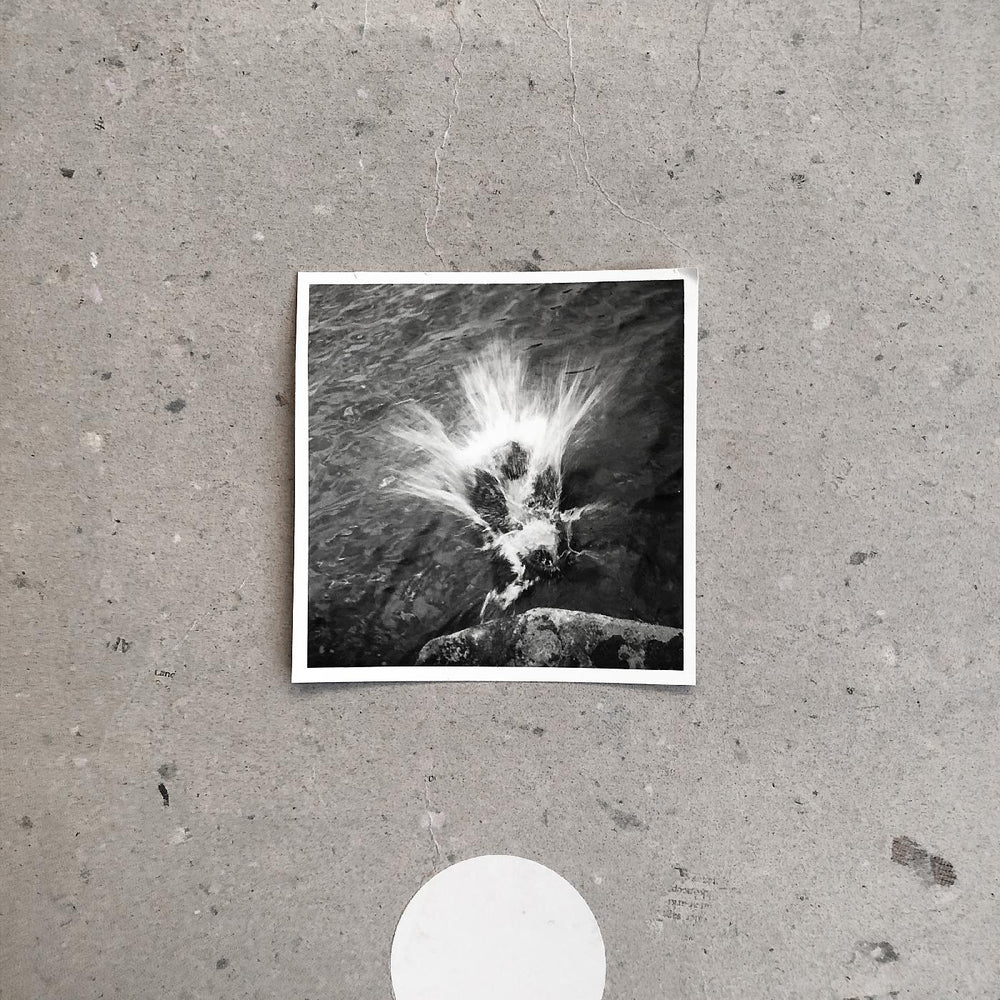Empty [Vinyl]