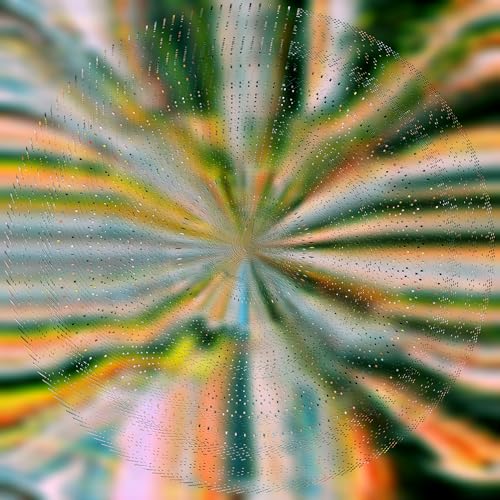 Everlight [Vinyl] (ONLINE ORDER ONLY)