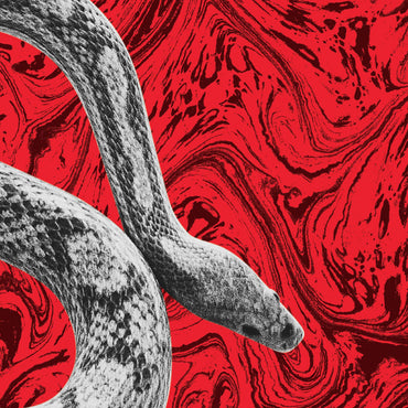 California/All Your Love [Vinyl] (ONLINE ORDER ONLY)