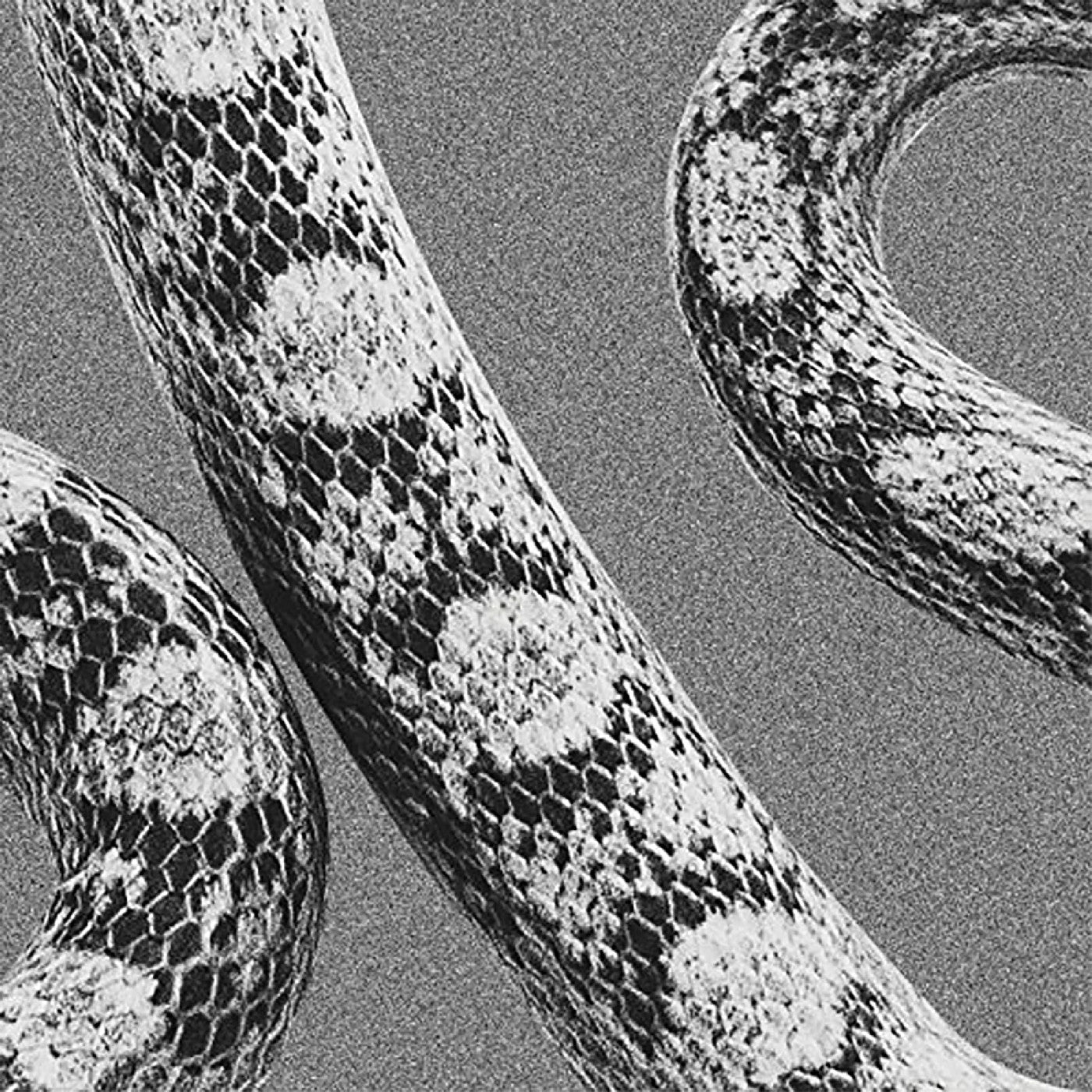 God Don'T Talk To Strangers/Lady Of The Ocean [Vinyl] (ONLINE ORDER ONLY)