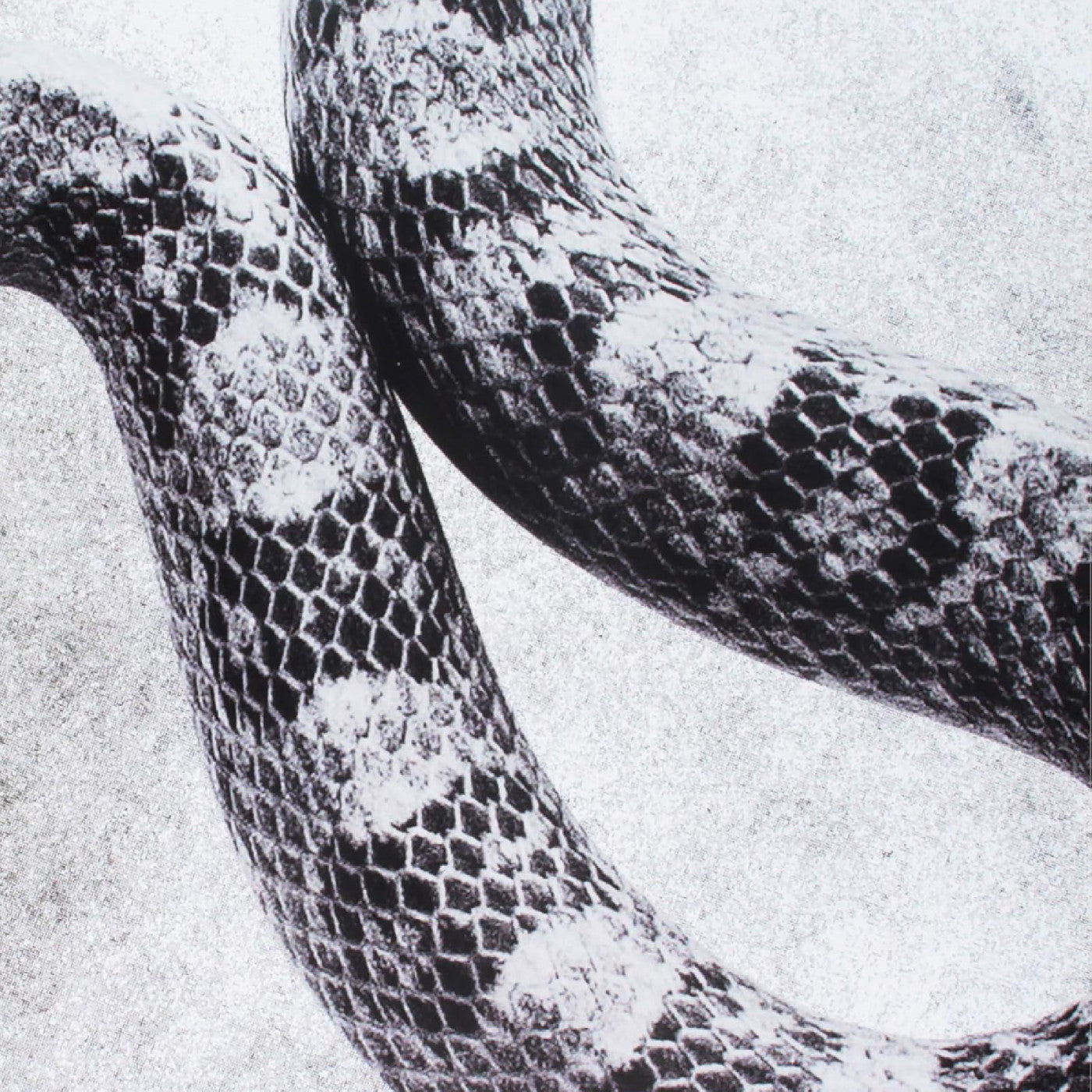 I'M Alright/Fine [Vinyl] (ONLINE ORDER ONLY)