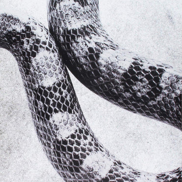 I'M Alright/Fine [Vinyl] (ONLINE ORDER ONLY)