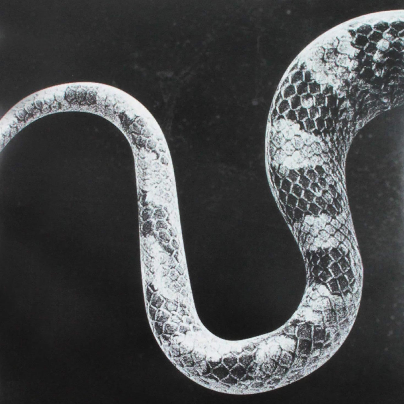 Sentimental Kids/Last Of The Leavers [Vinyl] (ONLINE ORDER ONLY)