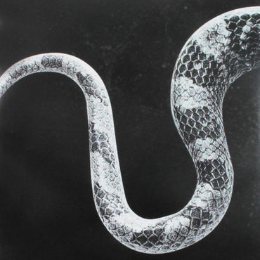 Sentimental Kids/Last Of The Leavers [Vinyl] (ONLINE ORDER ONLY)