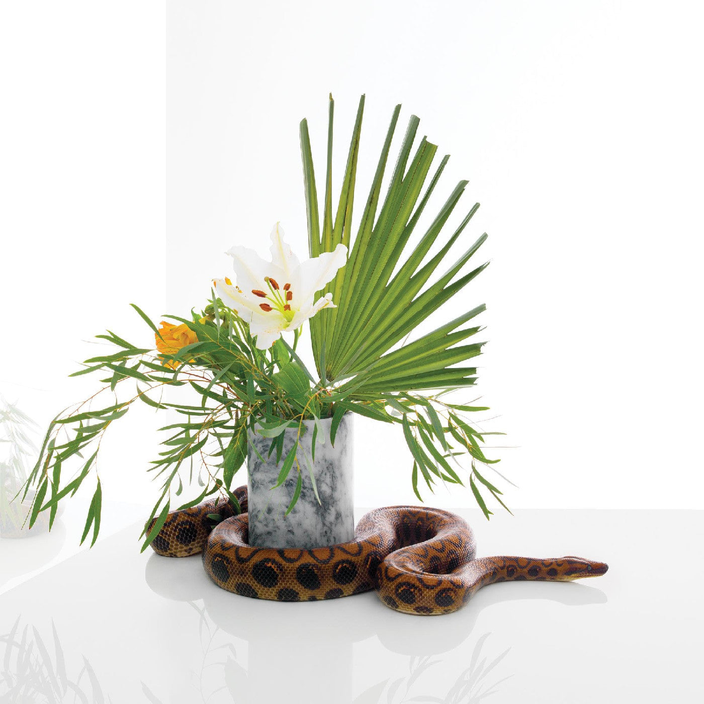 White Noise [CD] (ONLINE ORDER ONLY)