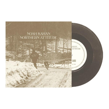 Northern Attitude (Black Ice Colored Vinyl with Poster) (7" Single) [Import] [Vinyl] (ONLINE ORDER ONLY)
