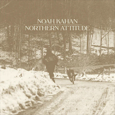 Northern Attitude (Black Ice Colored Vinyl with Poster) (7" Single) [Import] [Vinyl] (ONLINE ORDER ONLY)