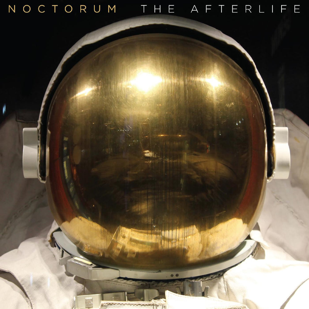 The Afterlife [Vinyl]