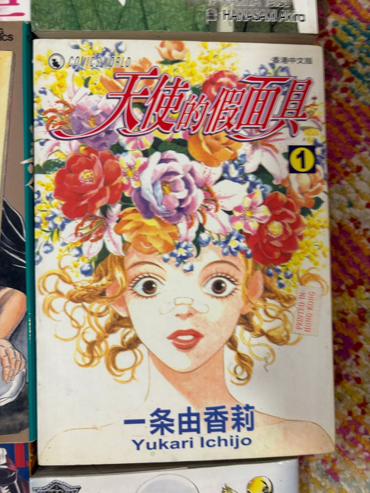 Non English Language Manga and Light Novels (Online Order Only)