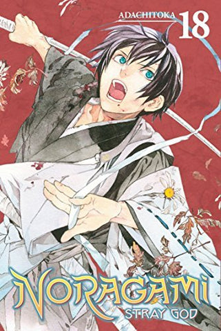 Noragami Stray God Vol 18 (Online Order Only)