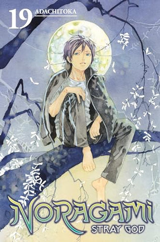 Noragami Stray God Vol 19 (Online Order Only)