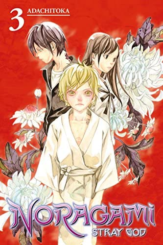Noragami Stray God Vol 3 (Online Order Only)