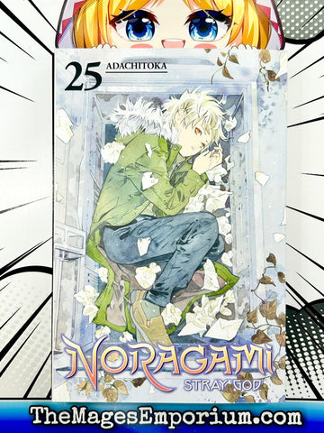 Noragami Vol 25 (Online Order Only)