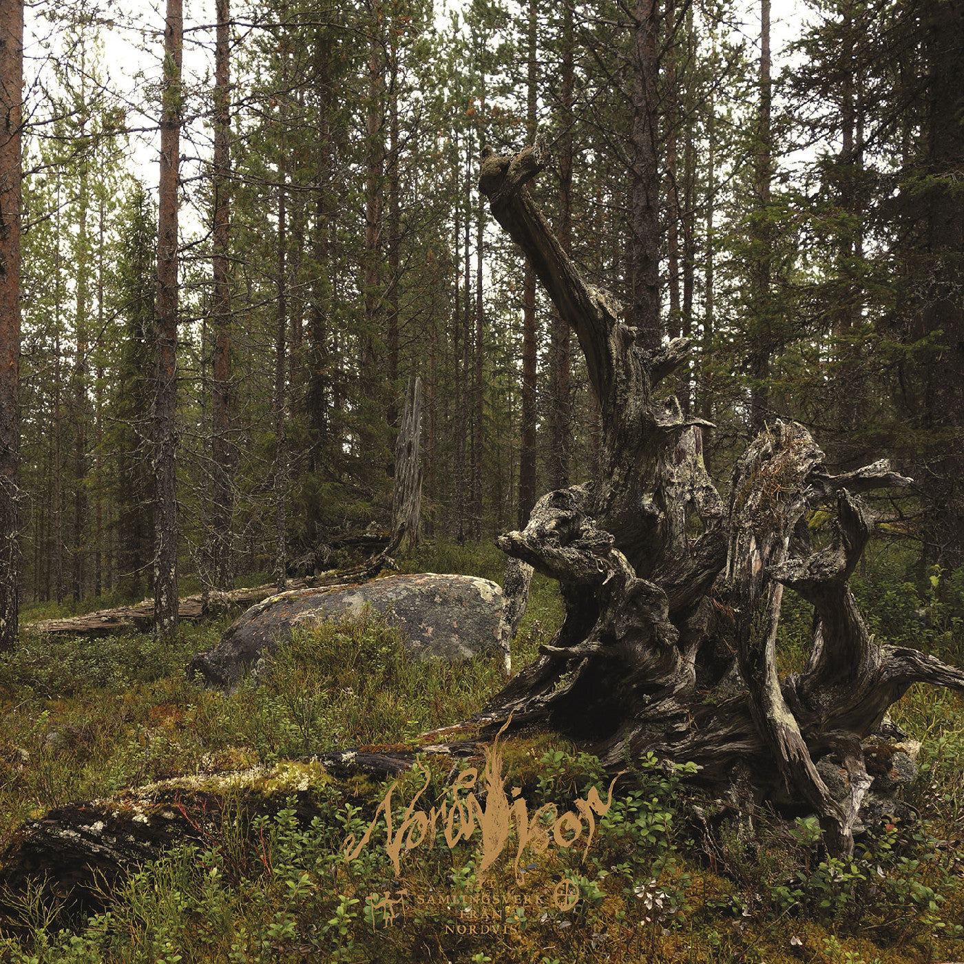 Nordvisor - Ett samlingsverk från Nordvis (BLACK & GOLD / BLACK & COPPER VINYL) [Vinyl] (ONLINE ORDER ONLY)