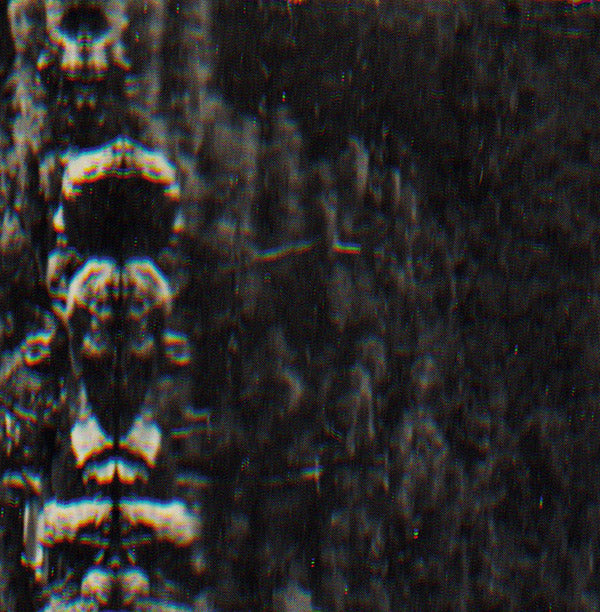 O MORTO - The Forest, The People And The Spirits [Vinyl] (ONLINE ORDER ONLY)