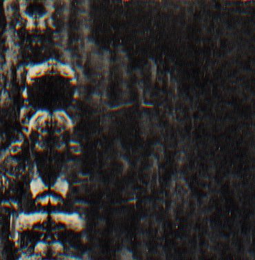 O MORTO - The Forest, The People And The Spirits [Vinyl] (ONLINE ORDER ONLY)