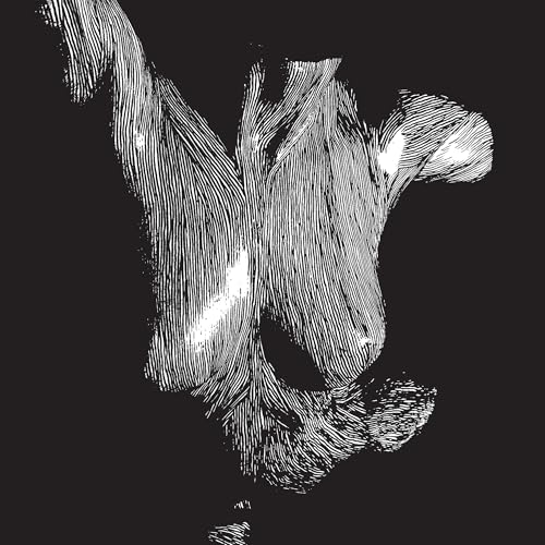 Self Preserved While The Bodies Float Up (15Th Anniversary) [3Lp] [Vinyl] (ONLINE ORDER ONLY)