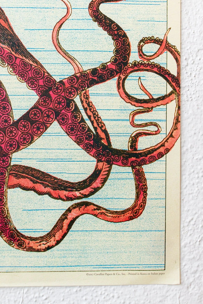 Octopods Scientific Chart (ONLINE ORDER ONLY)