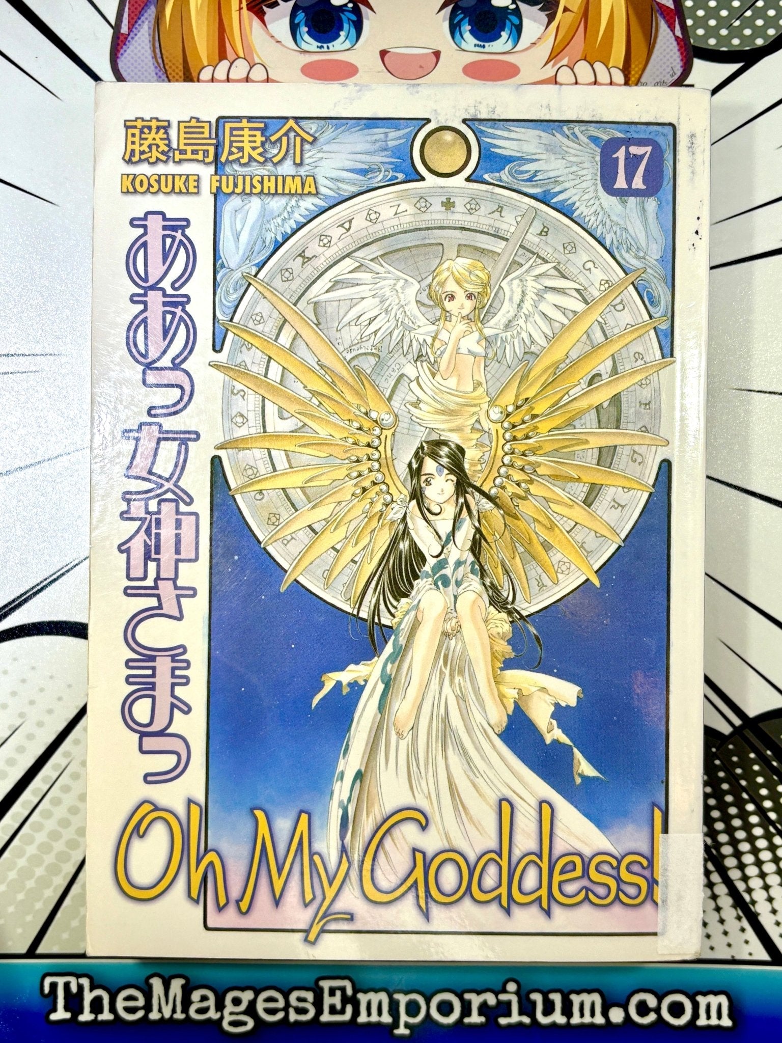 Oh My Goddess Ex Library Vol 17 (Online Order Only)