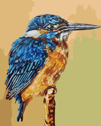 Old Kingfisher Solo (ONLINE ORDER ONLY)