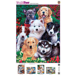 Playful Paws - Fluffy Fuzzballs 300 Piece EZ Grip Jigsaw Puzzle (ONLINE ORDER ONLY)
