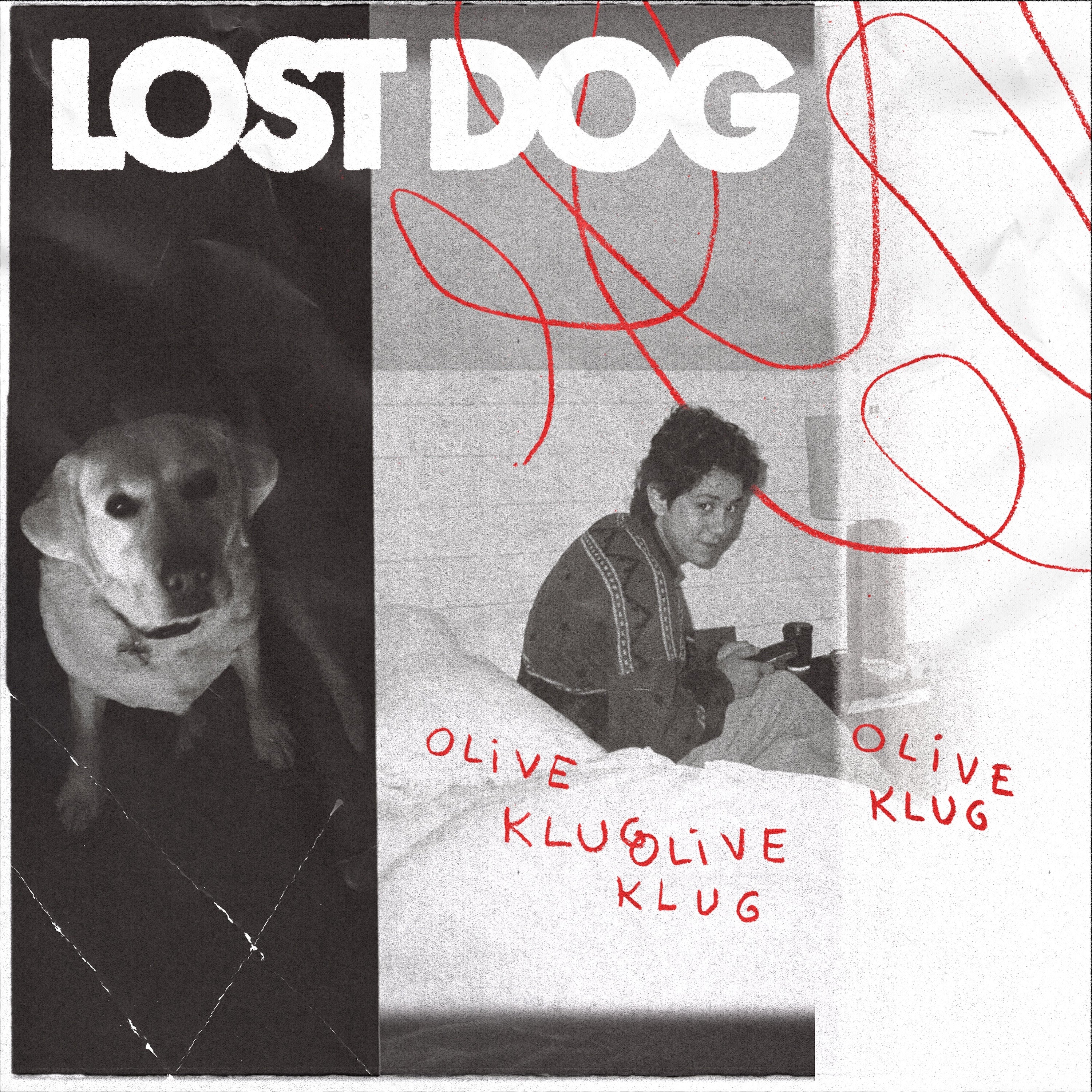Lost Dog [CD] (ONLINE ORDER ONLY)