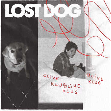 Lost Dog [CD]