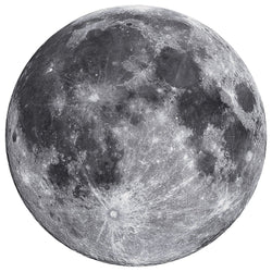 Solar System - The Moon 1000 Piece Round Jigsaw Puzzle