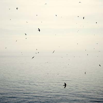 ON - Your Naked Ghost Comes Back At Night [CD] (ONLINE ORDER ONLY)