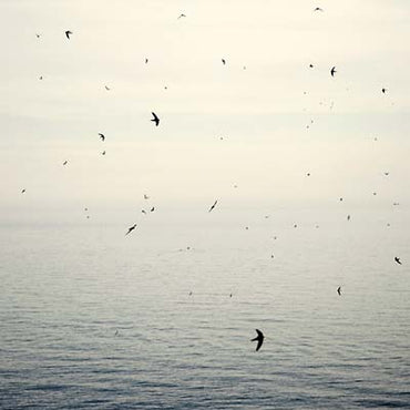 ON - Your Naked Ghost Comes Back At Night [CD] (ONLINE ORDER ONLY)