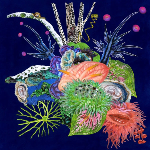 O'O - Touche [CD] (ONLINE ORDER ONLY)