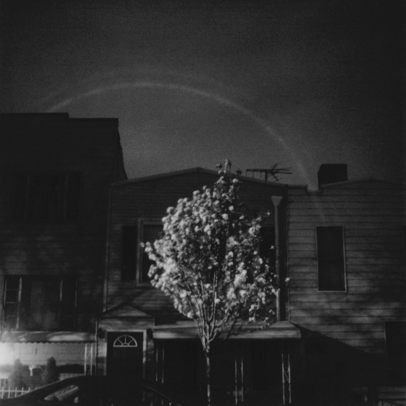 Hands In The Honey Jar (DARK CYAN & WHITE VINYL) [Vinyl] (ONLINE ORDER ONLY)