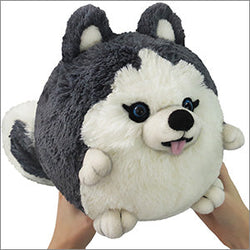 Squishable Husky (Mini) (ONLINE ORDER ONLY)