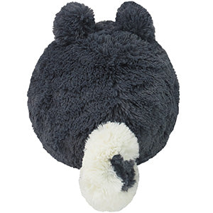 Squishable Husky (Mini) (ONLINE ORDER ONLY)
