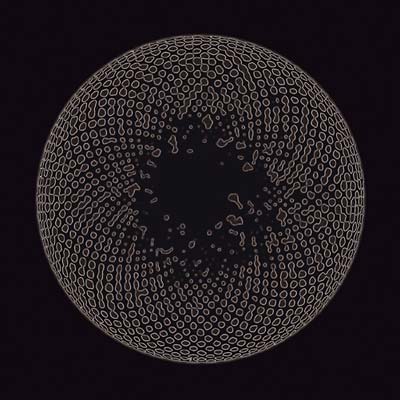 Organ Eye [CD]