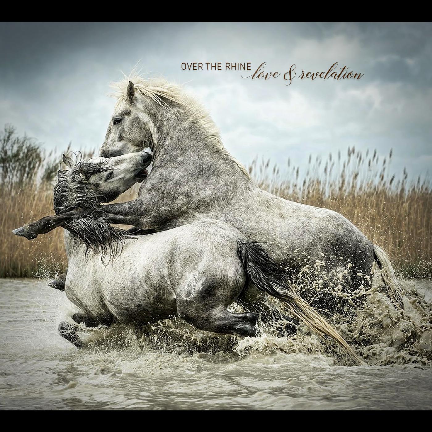 Love & Revelation [CD] (ONLINE ORDER ONLY)