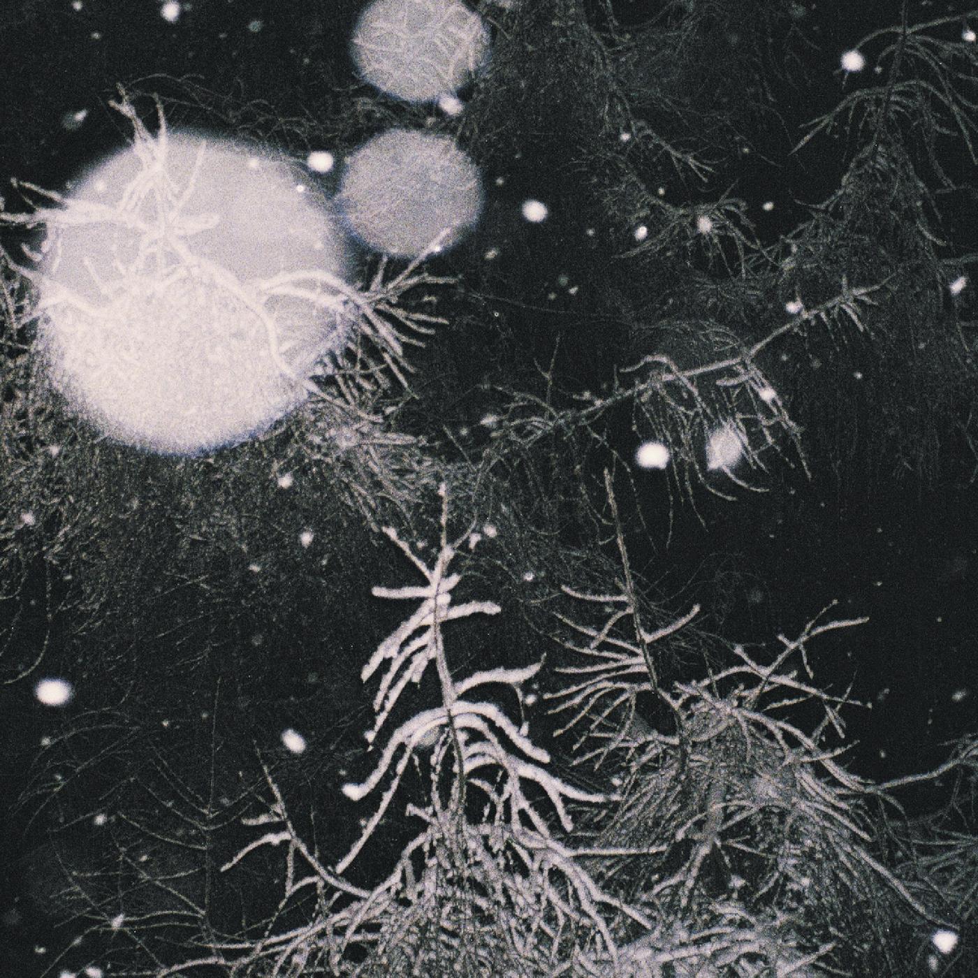 Over the Voids - Over The Voids [CD] (ONLINE ORDER ONLY)