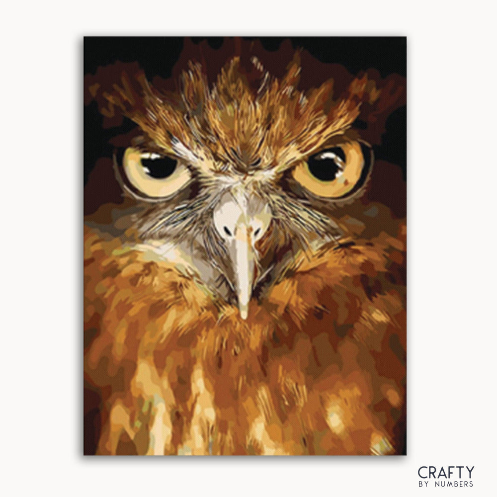 Owl Eyes (ONLINE ORDER ONLY)