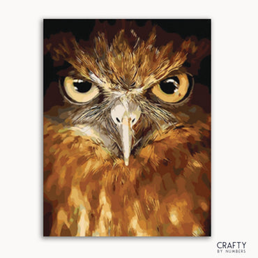 Owl Eyes (ONLINE ORDER ONLY)