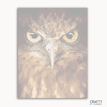 Owl Eyes (ONLINE ORDER ONLY)