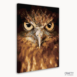 Owl Eyes (ONLINE ORDER ONLY)