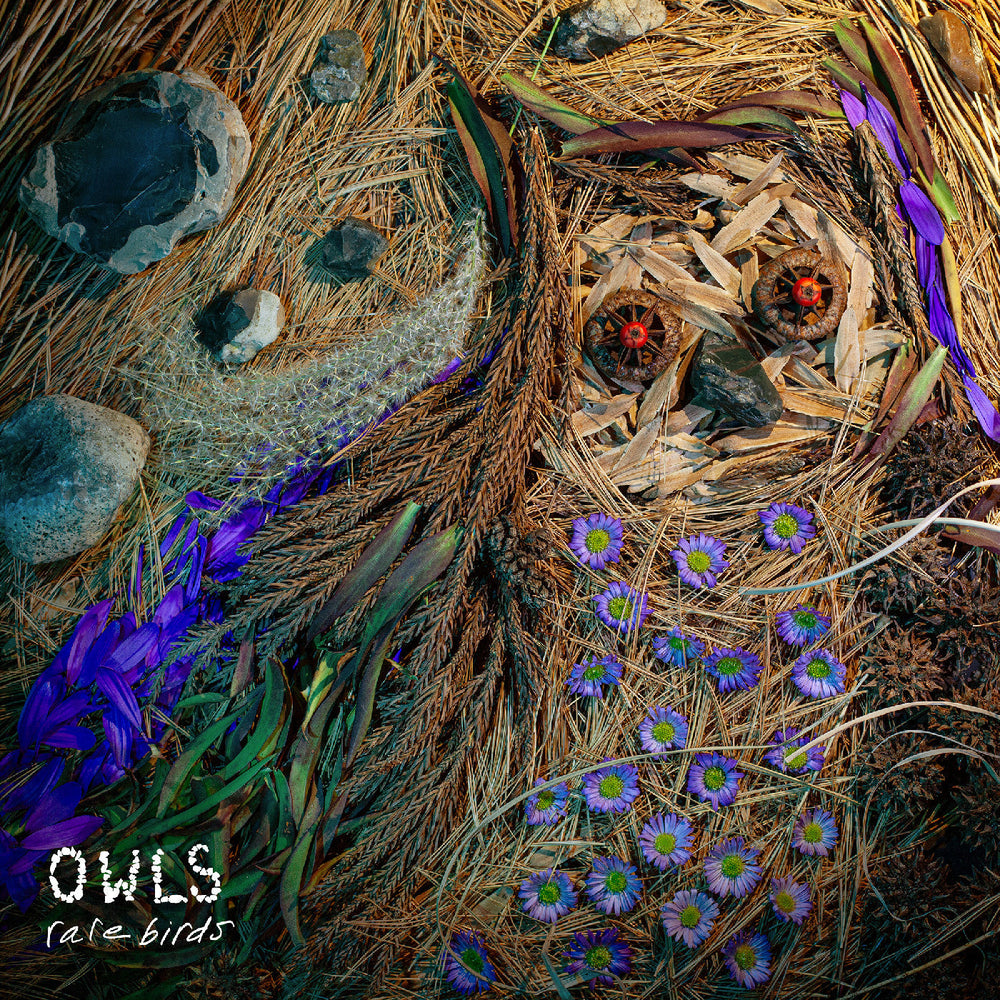Rare Birds [Vinyl] (ONLINE ORDER ONLY)
