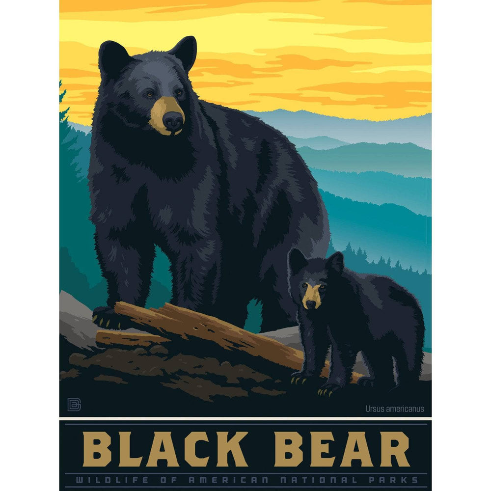 Black Bear 300 Piece Jigsaw Puzzle