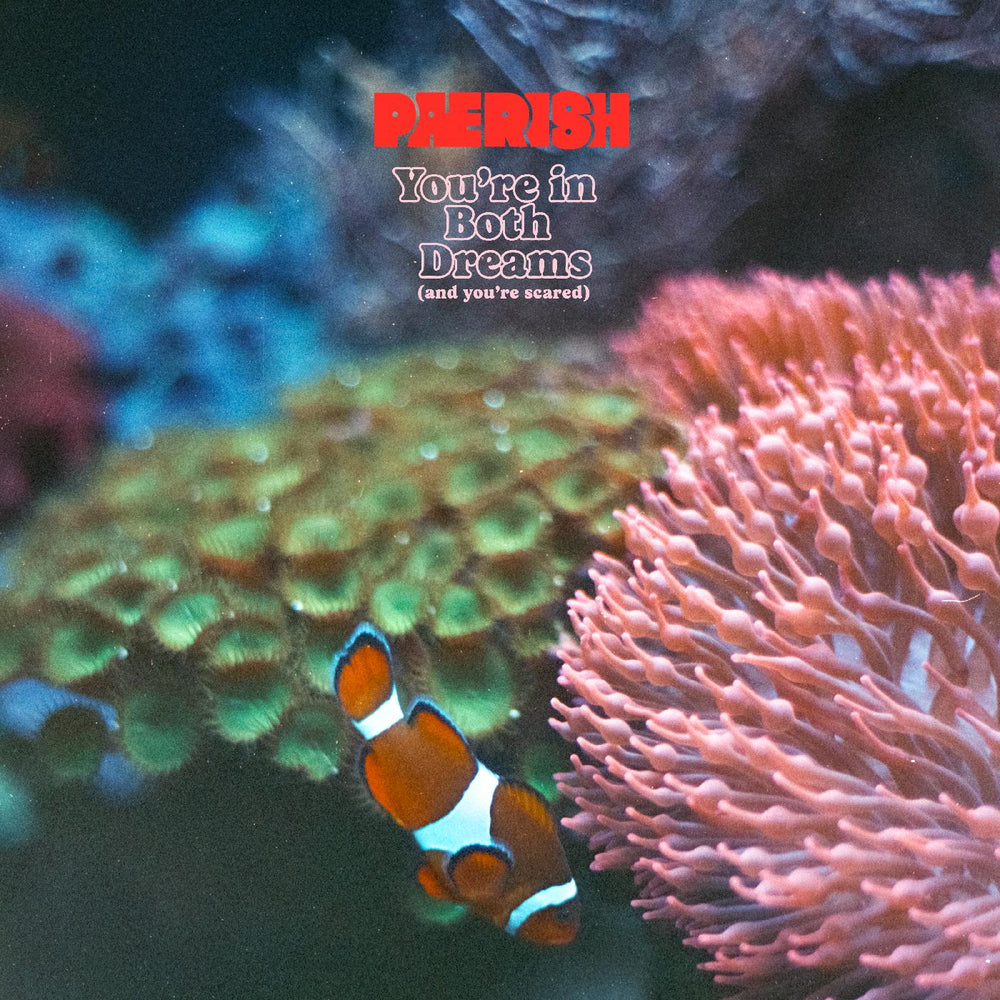 You're in both dreams (and you're scared) [Vinyl] (ONLINE ORDER ONLY)