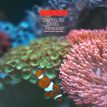 You're In Both Dreams (and You're Scared) [CD] (ONLINE ORDER ONLY)