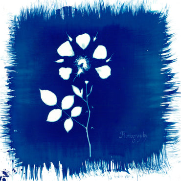 Painted Zeros - Floriography [CD] (ONLINE ORDER ONLY)