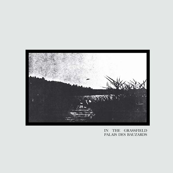 PALAIS DES BAUZARDS - In the Grassfield [Vinyl]