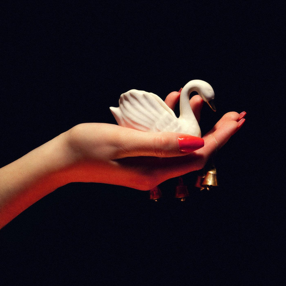 Cygnus [Vinyl] (ONLINE ORDER ONLY)