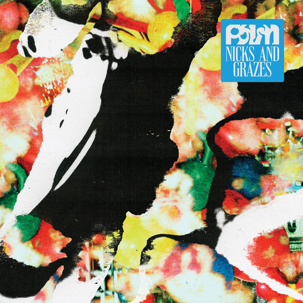 Palm - Nicks and Grazes [Vinyl] (ONLINE ORDER ONLY)